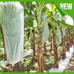 Vải PP trong nông nghiệp