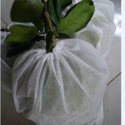 Túi bọc trái cây