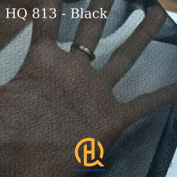 hq813