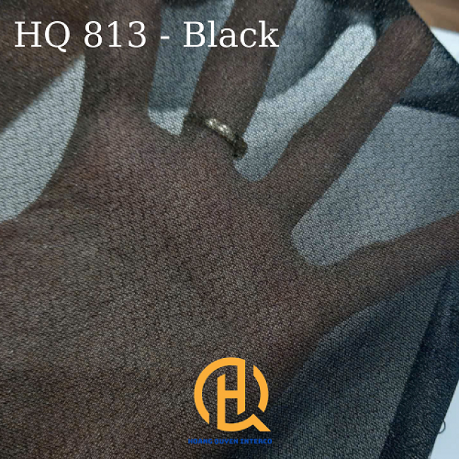 HQ813